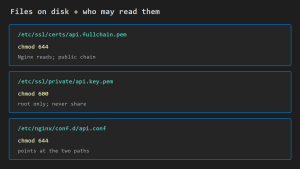 Nginx SSL for Spring Boot on EC2: TLS Cert Paths and chmod